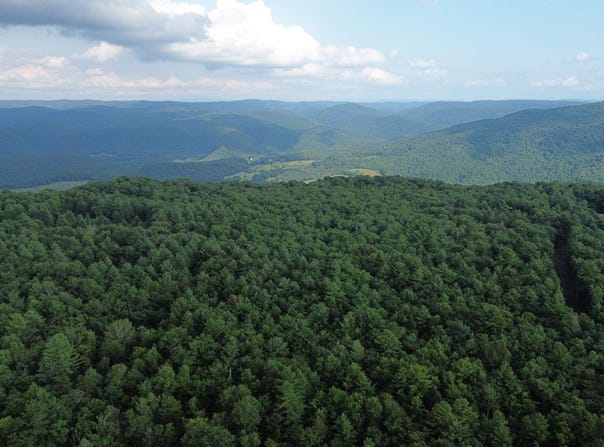300 Droop Mountain Rd., Hillsboro, WV 24946