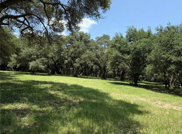 TBD Rubin Lee Road, CAT SPRING, TX 78933