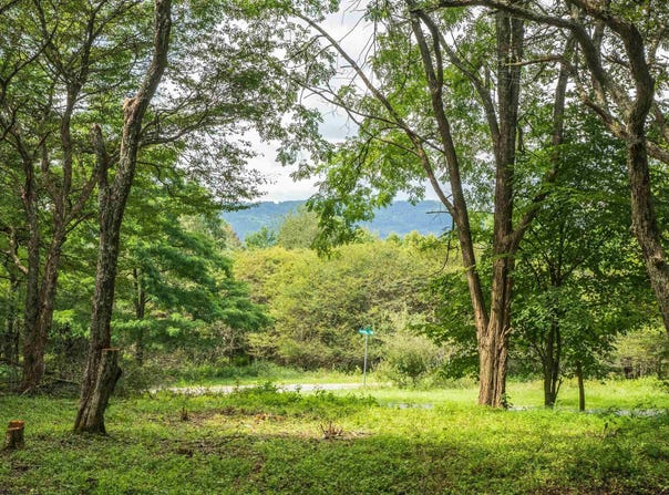7 Roaring Plains Drive, Dryfork, WV 26263
