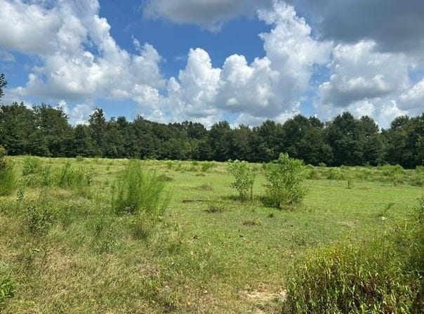 Cody Driskell Road, Irvington, AL 36544