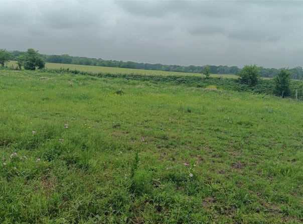 CR494 N, Chilton, TX 76632