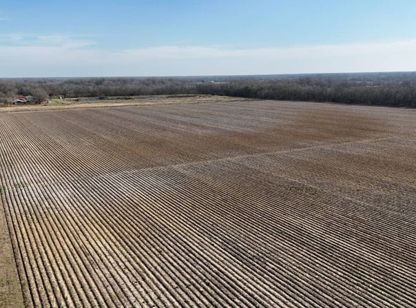 Earl Medlin Rd, Rayville, LA 71269