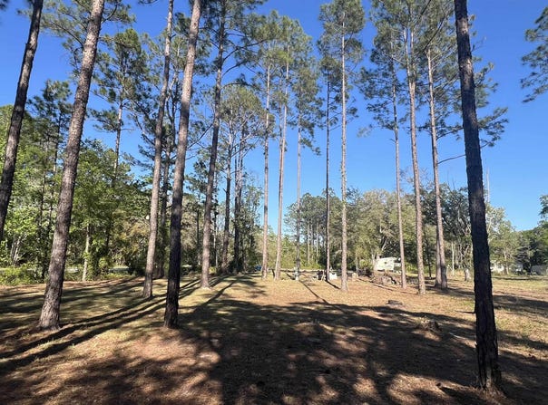 4698 Helena St, Hastings, FL 32145