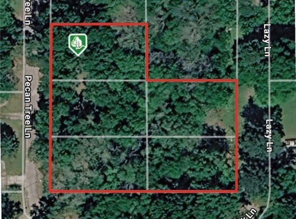 TBD Pecan Tree Lane, Montgomery, TX 77316