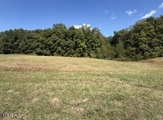 Estate Loop Tr, Crossville, TN 38555