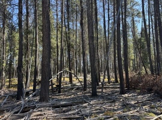 Cloudcap Drive, Chiloquin, OR 97624