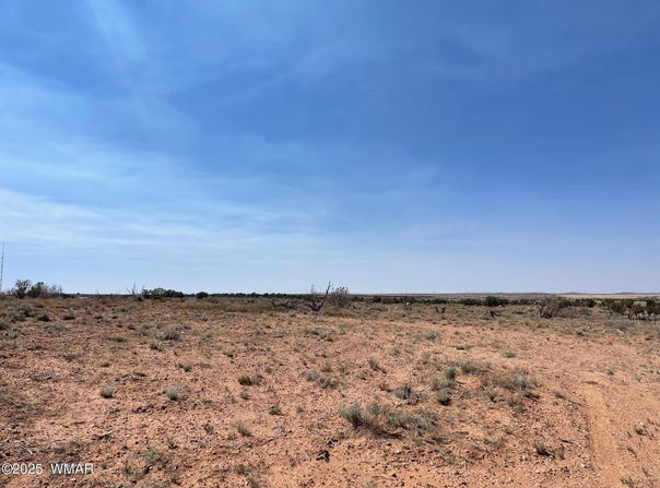 Parcel A HIghway 77, Snowflake, AZ 85937