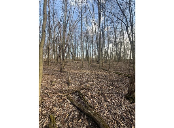 Main St, North Union Twp, PA 15456