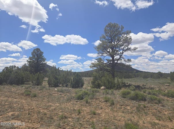 7434 N Elk Run Trail, Williams, AZ 86046