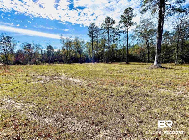 Tesone Boulevard, Brewton, AL 36426