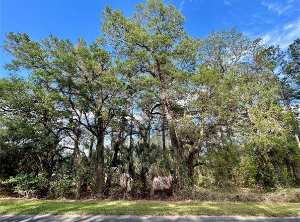 4819 NE 211TH Drive, EARLETON, FL 32631