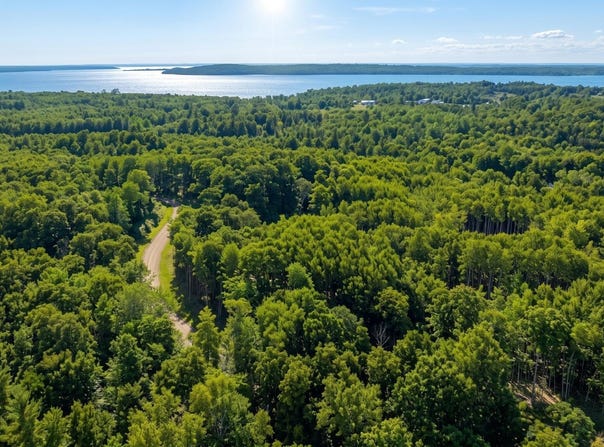 Lot 2, Walker, MN 56484