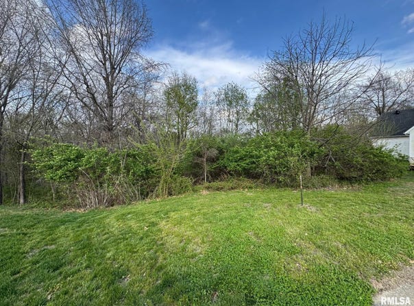 4 Riverwood Drive, Rochester, IL 62563