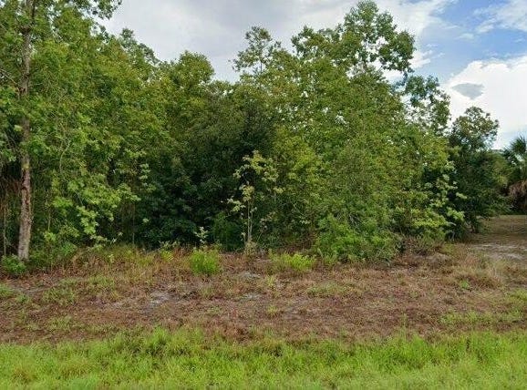 2050 Indian Hills Dr lot: 28/2, MOORE HAVEN, FL 33471