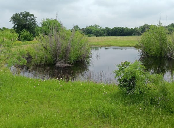Hwy 7, Chilton, TX 76632
