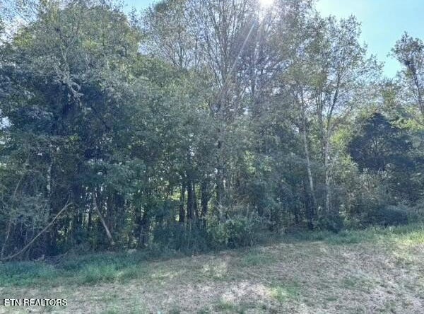 Decatur Pike, Athens, TN 37303