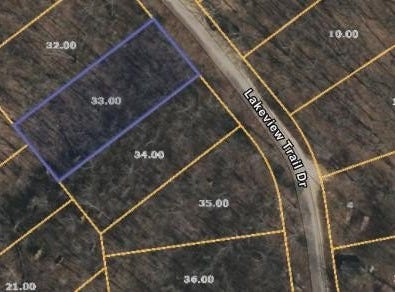 Lakeview Trail, HOLLADAY, TN 38341