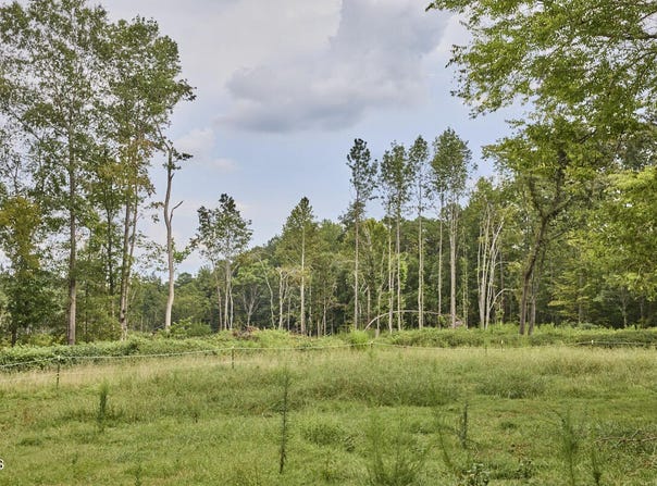 Beal Road, Robbins, NC 27325