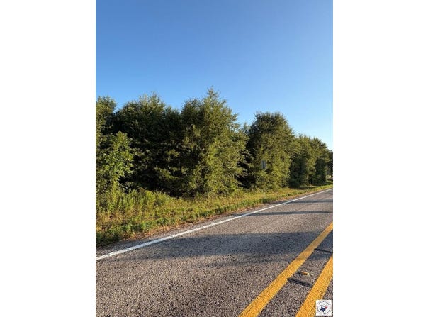 TRACT 12 HWY 990, Simms, TX 75574