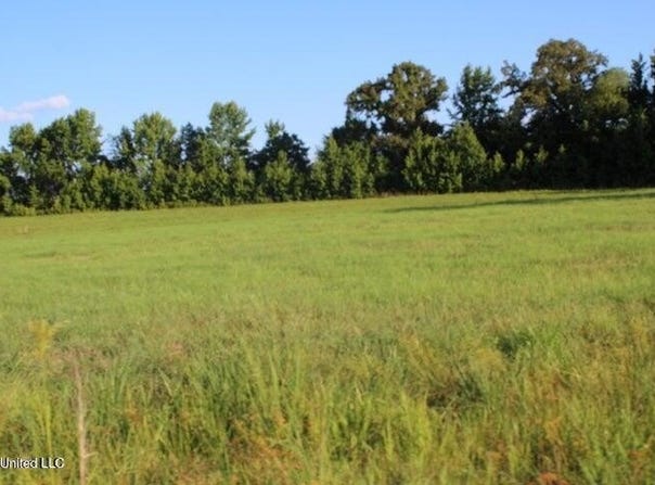 Chapel Hill Subdivision, Holly Springs, MS 38635