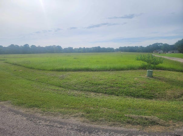 CR 2136, Pittsburg, TX 75686