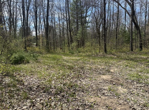 S Shepperd Road, Branch, MI 49402