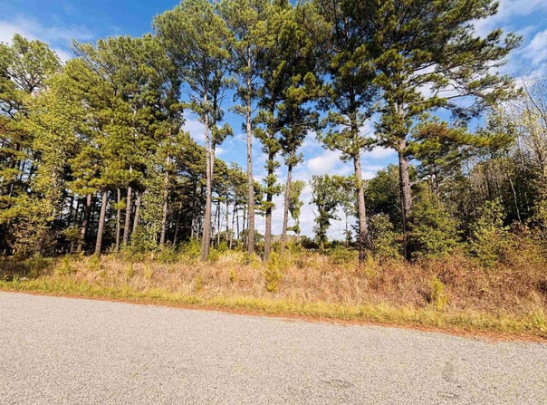 Womack Road, Bald Knob, AR 72010