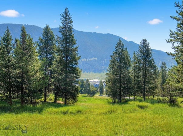 Colters Run, Big Sky, MT 59730