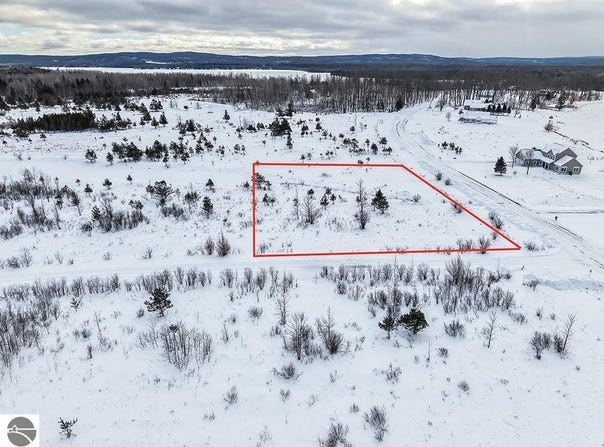 6412 Lora Bette Drive, Alanson, MI 49706