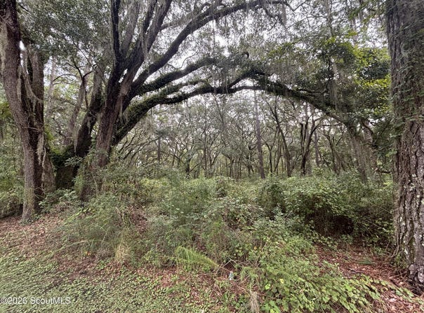 4 Carnochan Lane SE lot: 4, Darien, GA 31305