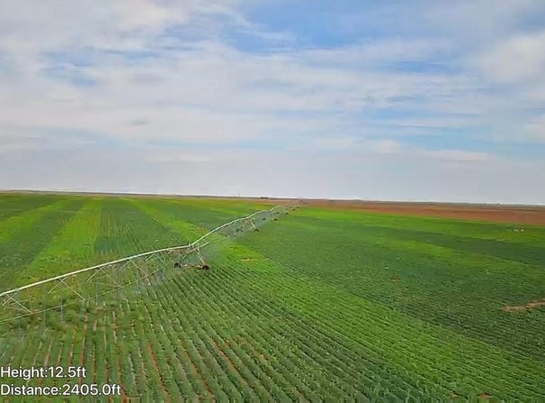 County Rd 335, Plains, TX 79355