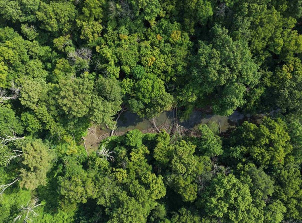 Riverview Rd, De Valls Bluff, AR 72041