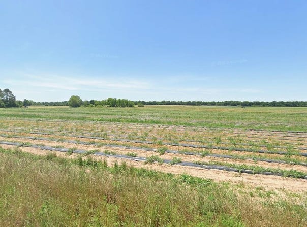 Russell Wade Rd, Allentown, FL 32565