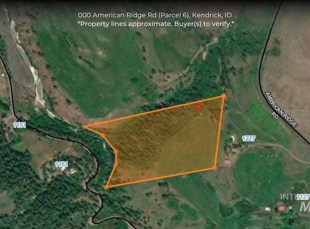 American Ridge Rd (Parcel 6), Kendrick, ID 83537