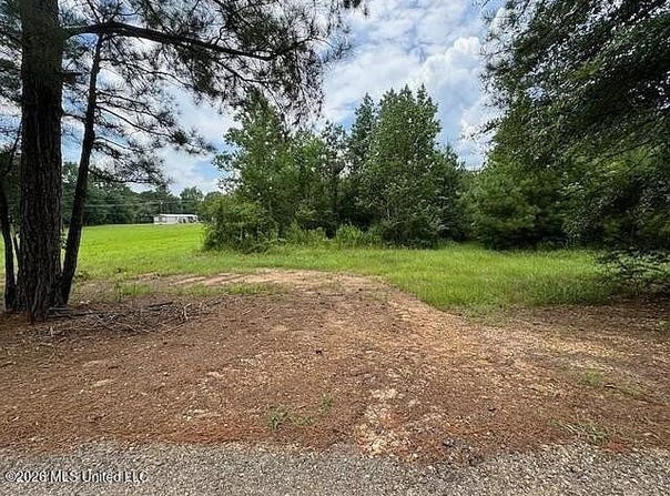 Parcel 2&3 Harper College Road, Gloster, MS 39638