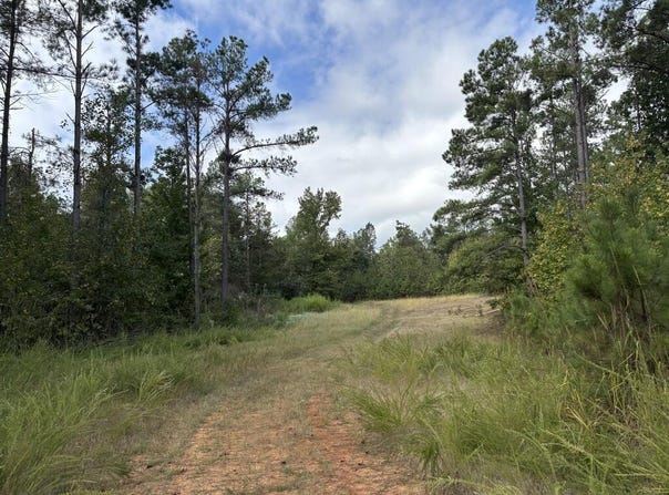Hwy 331, OXFORD, MS 38655