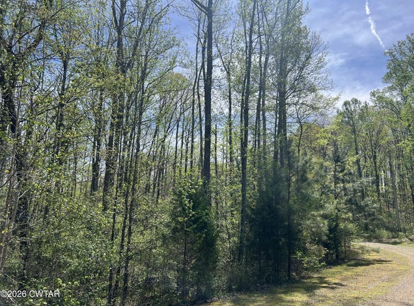35 Torpedo Ct (Lot 119), Cedar Grove, TN 38321