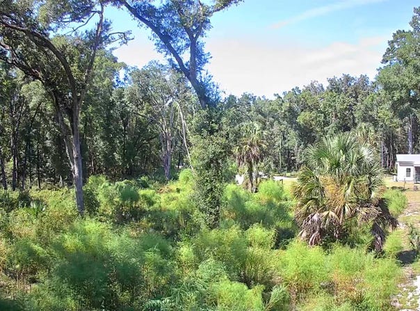 Caliente Drive lot: 7 And 8, Crawfordville, FL 32327