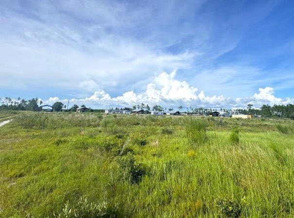 Margies Ln lot: 8, Wewahitchka, FL 32465