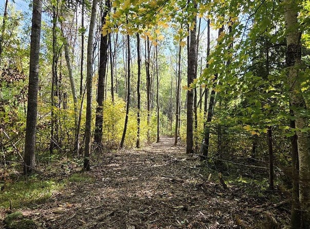 5 National Trail, Crandon, WI 54520