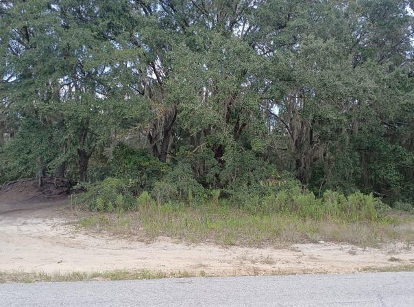 SE MALAUKA LOOP RUN Road, OCKLAWAHA, FL 32179