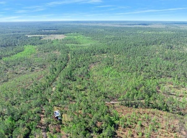 CARTER Street, BUNNELL, FL 32110