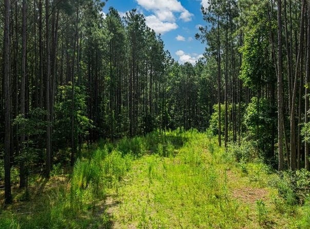 1150 FM 1751, San Augustine, TX 75972