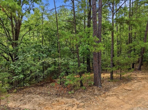 29 Jerry Lane, Quitman, AR 72131