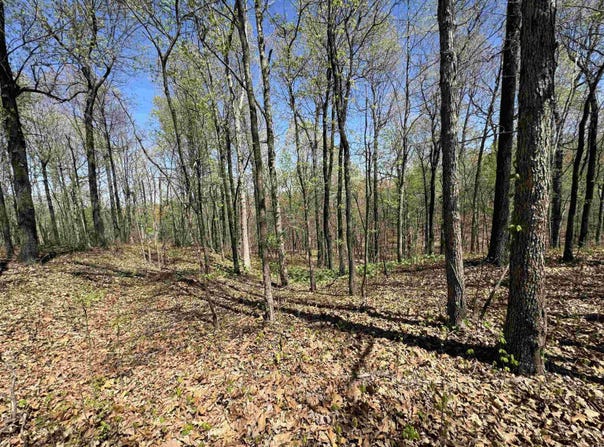 clay rd 431, Pollard, AR 72456
