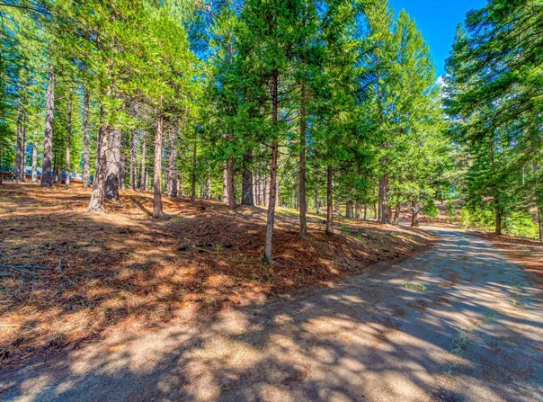 954 Red Fox Road, Clio, CA 96106