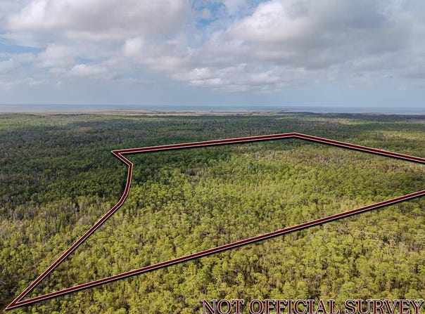 SW 741st St, Horseshoe Beach, FL 32648