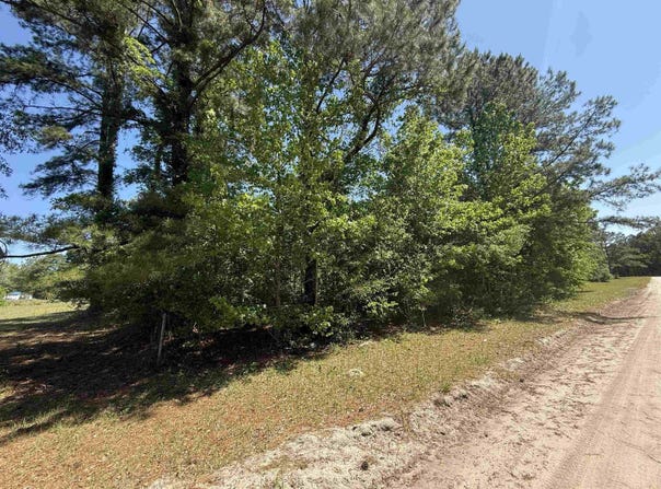 New Bridge Rd., Nichols, SC 29581