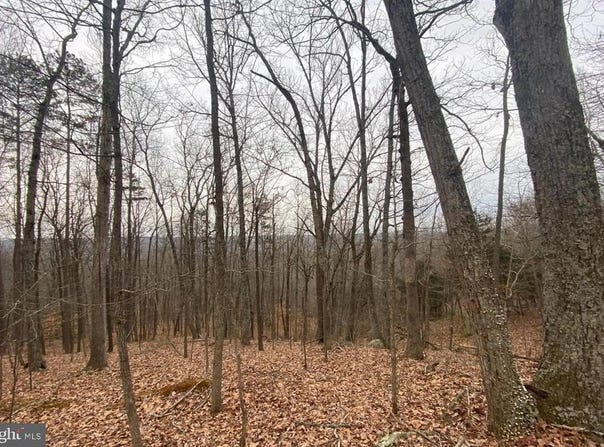 TURKEY RIDGE ROAD, CASTLETON, VA 22716