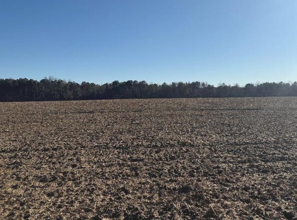 Whitfield Road, Elko, GA 31025